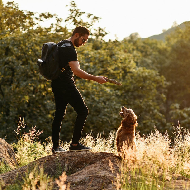 Wolf Pack No. 2 - Wolf Leather Goods